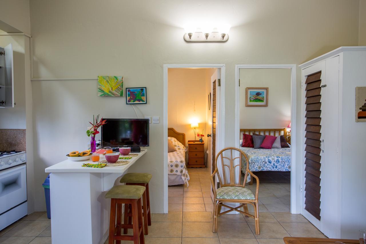 Smithy'S Eco-Apartment Morne Jaloux Ridge 外观 照片