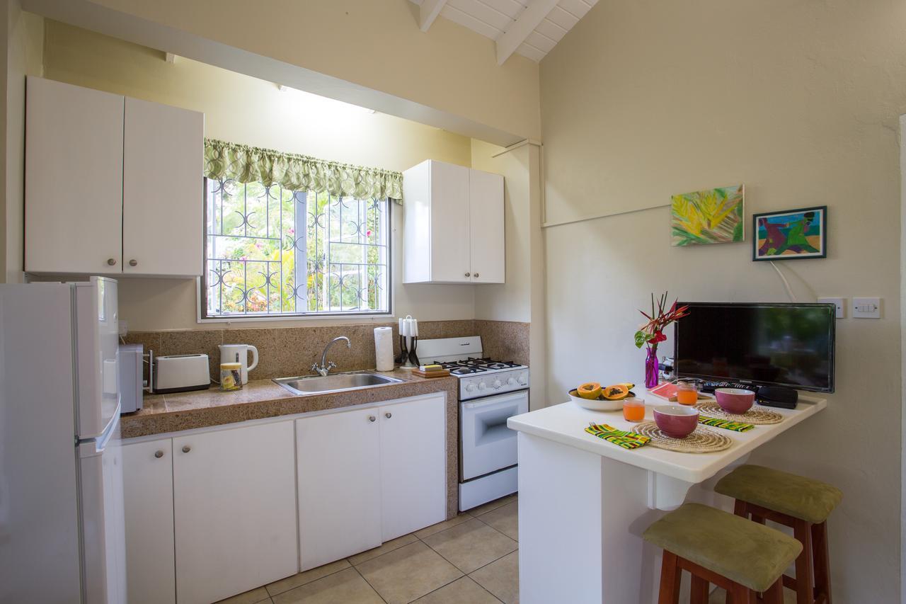 Smithy'S Eco-Apartment Morne Jaloux Ridge 外观 照片